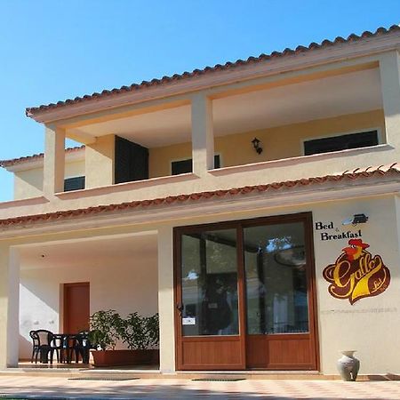 Gallo Spot Hotel San Teodoro  Bagian luar foto